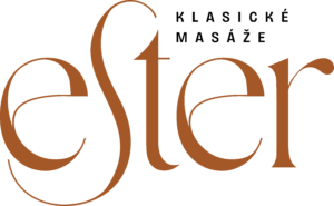 logo png color2